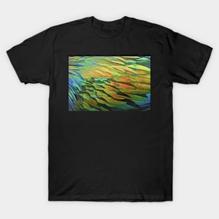 Nicobar Pigeon T-Shirt